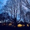lschilling_21